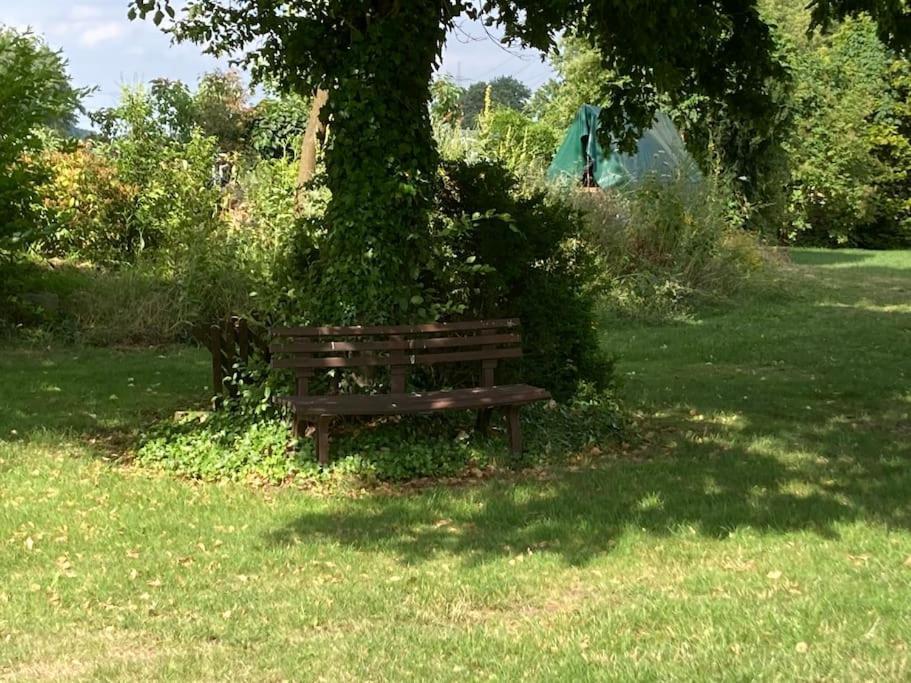 Helle Wohnung Mit Wintergarten - Nahe Ruhrgebiet Und Freizeitpark Movie Park Bottrop Exterior foto
